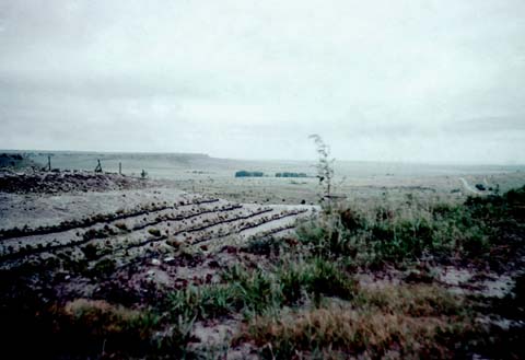 50s01-15
