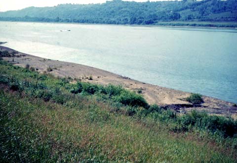 50s15-09