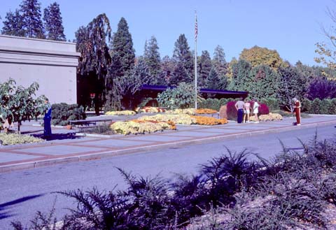 8110a-20